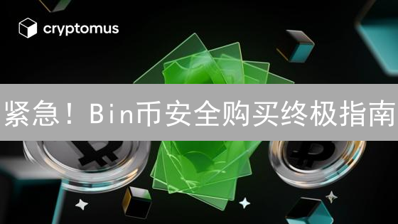 紧急！Bin币安全购买终极指南：避坑防骗，新手必看！
