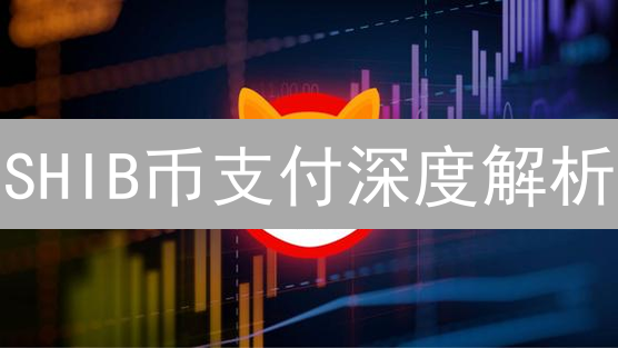 SHIB币支付深度解析：四种实用方式，解决交易难题！