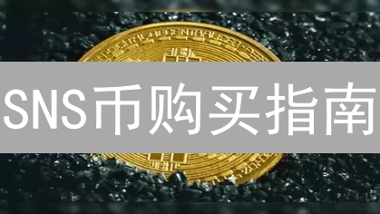 SNS币购买指南：安全渠道选择，避免踩坑！
